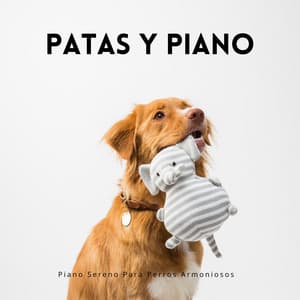 Patas Y Piano: Piano Sereno Para Perros Armoniosos - Colección definitiva de pianos de jazz