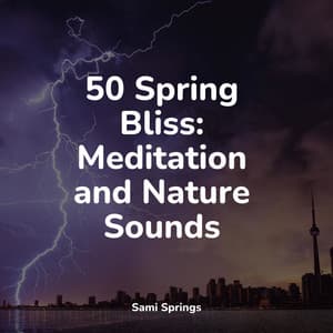 50 Spring Bliss: Meditation and Nature Sounds - Regen