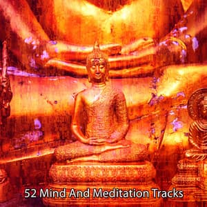 52 Mind and Meditation Tracks - Relaxing Mindfulness Meditation Relaxation Maestro