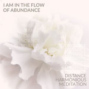 I Am in the Flow of Abundance: Distance Harmonious Meditation, Living in the Flow and Activation of the Flow - Anysia Mysti