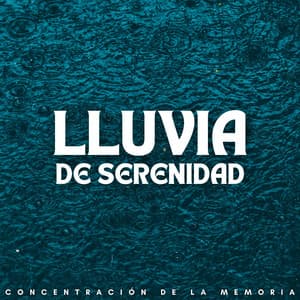 Lluvia De Serenidad: Concentración De La Memoria - Sonido de lluvia