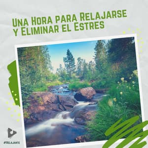 1 Hora para Relajarse y Eliminar el Estrés - #Relajante