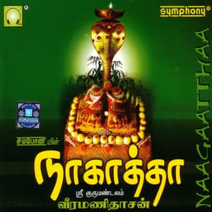 Naagaatthaa - Veeramanidasan