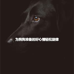 为狗狗准备的好心情轻松旋律 - Música para Centros Comerciales