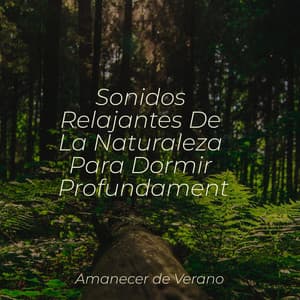 Sonidos Relajantes De La Naturaleza Para Dormir Profundamente - Rumbas de España