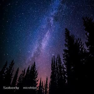Soberly - microhope
