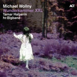 Wunderkammer XXL - Michael Wollny