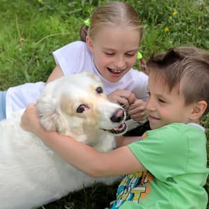 Piano Rain Tunes for Your Beloved Pets - Christian Piano Music