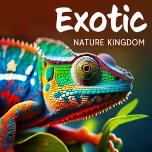 Exotic Nature Kingdom - Exotic Area Zen