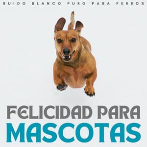 Felicidad De Mascotas: Ruido Blanco Puro Para Perros - Ventiladores y ruido blanco