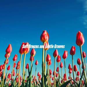 Soft Breezes and Gentle Grooves - Chill Music for Reading