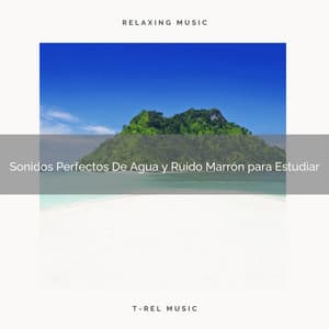 Sonidos Perfectos De Agua y Ruido Marrón para Estudiar - Ruido Para Bebé