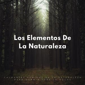 Los Elementos De La Naturaleza: Calmantes Sonidos De La Naturaleza Para Dormir Toda La Noche - Academia de Música con Sonidos de la Naturaleza