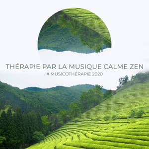 Thérapie par la musique calme Zen: # Musicothérapie 2020, Trouble du sommeil, Nervosité et stress - Musique pour Détendre en Temps Libre