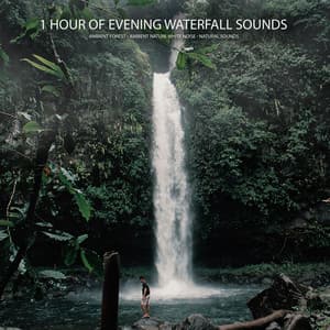 1 Hour of Evening Waterfall Sounds - Ambient Forest