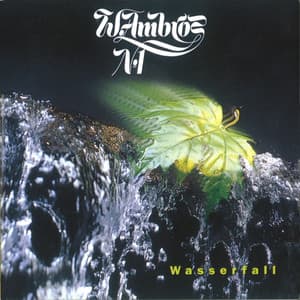 Wasserfall - Wolfgang Ambros
