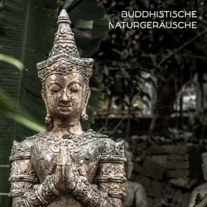 Buddhistische Naturgeräusche: Entspannende Zen-Hintergrundmusik für Meditation, Yoga, Entspannung, Ganzheitliche Spa-Behandlungen, Heilmassage, Reiki - Meditationsmusik Sammlung