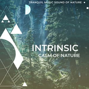 Intrinsic Calm of Nature - Tranquil Music Sound of Nature