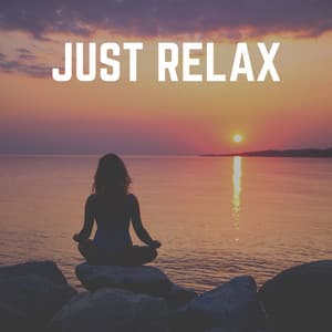Just Relax - Relaxing Spa Music