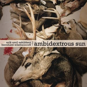 Ambidextrous Sun - Erik Emil Eskildsen