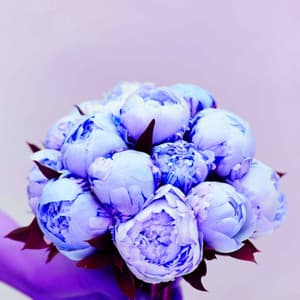 Awesome Background Music for Balancing Thought - Lofi Gaming