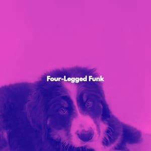 Four-Legged Funk - Tokyo Bebop Jazz Playlist
