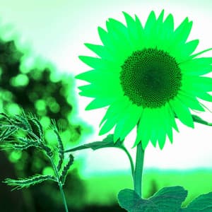 Music for Slow Times - Slow Smooth Jazz