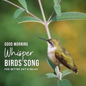 Good Morning Whisper, Birds Song for Better Day and Relax - Instrumental Music Zone