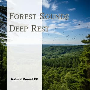 Forest Sounds: Deep Rest - Natural Forest FX