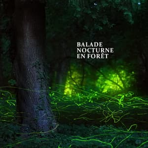 Balade nocturne en forêt : sons apaisants des grillons - Sounds of Nature Kingdom