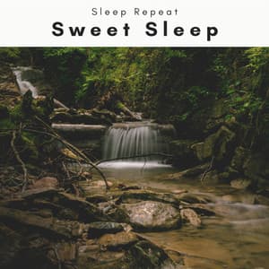 1 Sweet Sleep - Sleep Repeat