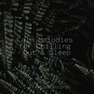 Calm Melodies for Chilling Out & Sleep - Schlaflieder Für Kinder
