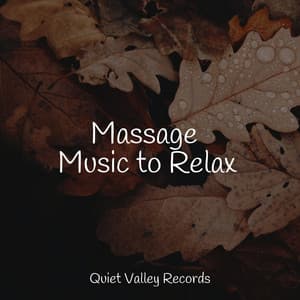 Massage Music to Relax - White Noise Babies