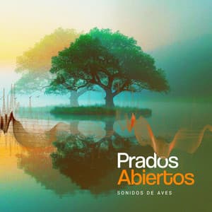 Prados Abiertos - Sonidos De Aves