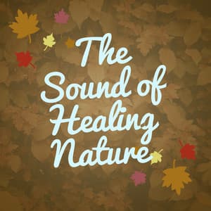 The Sound of Healing Nature - The Healing Sounds of Nature