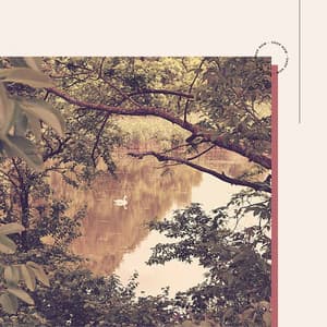 Awesome - Total Relax