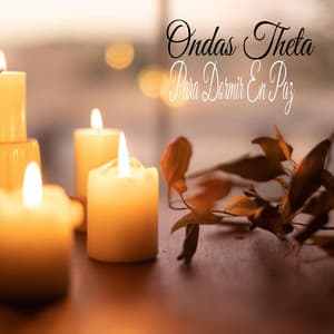 Ondas Theta Para Dormir En Paz - Meditacion Budista Maestros