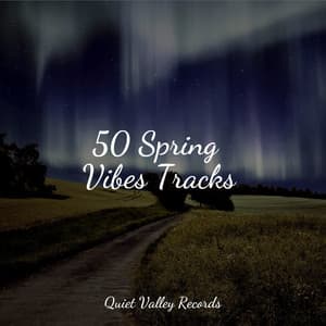 50 Spring Vibes Tracks - Study Zone
