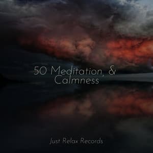 50 Meditation, & Calmness - Sonidos De Lluvia y Tormentas