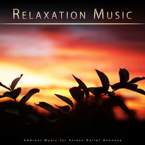 Relaxation Music: Ambient Music for Stress Relief Oneness - Relaxing Music Solitude