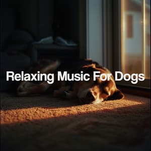 Relaxing Music For Dogs - Relaxing Spa Music