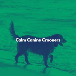 Calm Canine Crooners - Evening Jazz