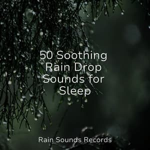 50 Soothing Rain Drop Sounds for Sleep - Calming Waves