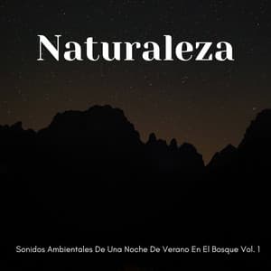 Naturaleza: Sonidos Ambientales De Una Noche De Verano En El Bosque Vol. 1 - Sonidos naturales del bosque