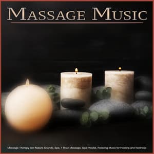 Massage Music: Massage Therapy and Nature Sounds, Spa, 1 Hour Massage, Spa Playlist, Relaxing Music for Healing and Wellness - Massage Music