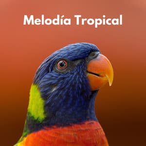 Melodía Tropical - Sonidos de la selva tropical