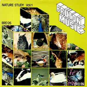 Bruton BRD26: Nature Study, Vol. 1 - James Clarke