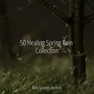 50 Healing Spring Rain Collection - Sonidos De Truenos y Lluvia