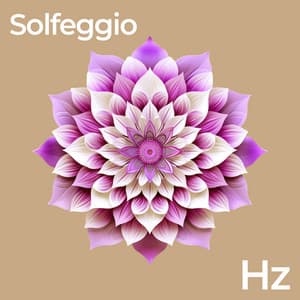 Solfeggio Frequencies : Universal & Spiritual - One Hour Meditation