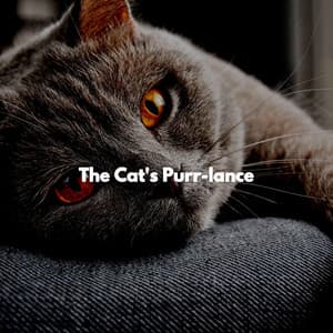 The Cat's Purr-lance - Cat Total Relax